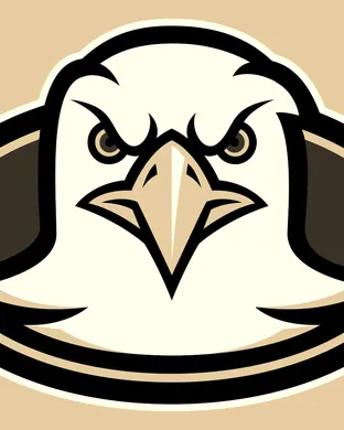 Boston College Eagles Football Syracuse
