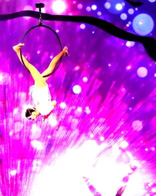 Cirque Musica Holiday Wonderland Syracuse