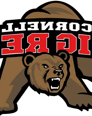 Cornell Big Red Football Hamilton