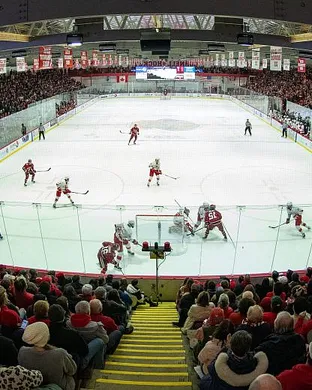 Cornell Big Red Hockey Amherst