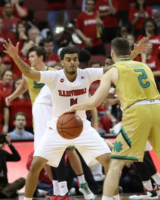 Louisville Cardinals Basketball Louisville