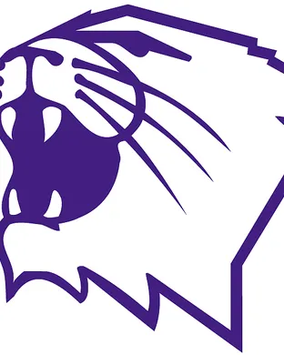 Northwestern Wildcats Syracuse