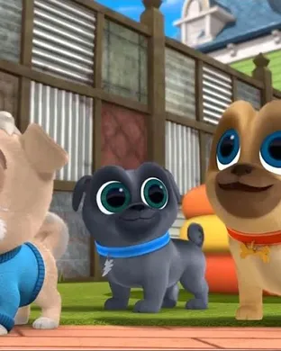 Puppy Pals Geneva