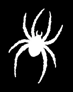 Richmond Spiders Football Syracuse