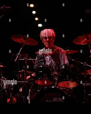 Stewart Copeland Homer