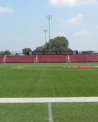 Cornell Big Red Lacrosse Ithaca