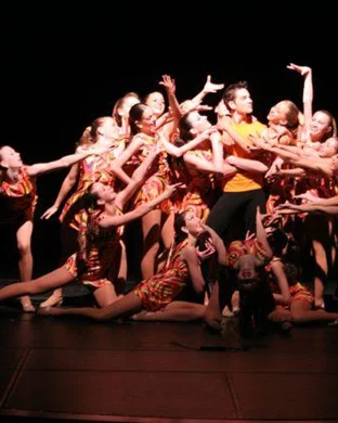 Swan Lake - Symphony of Lights Syracuse